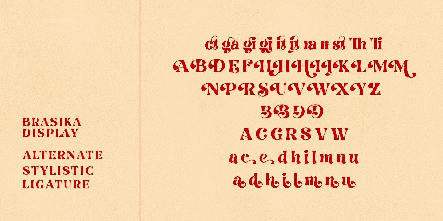 Brasika Display